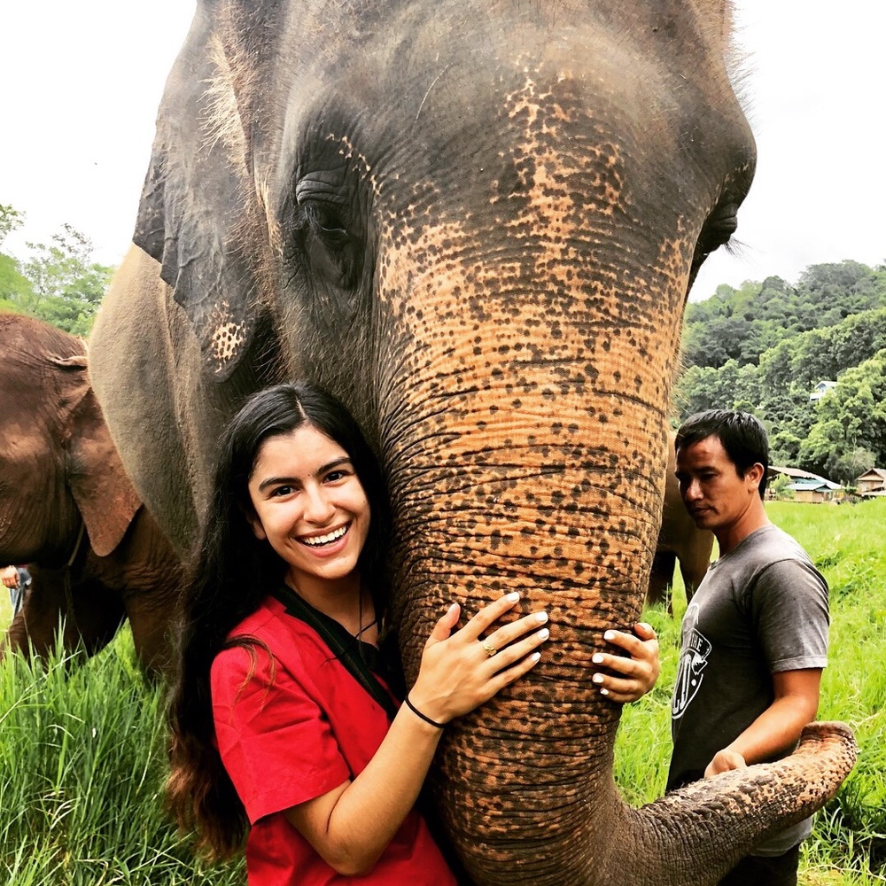 Meet your Posher, Sierra